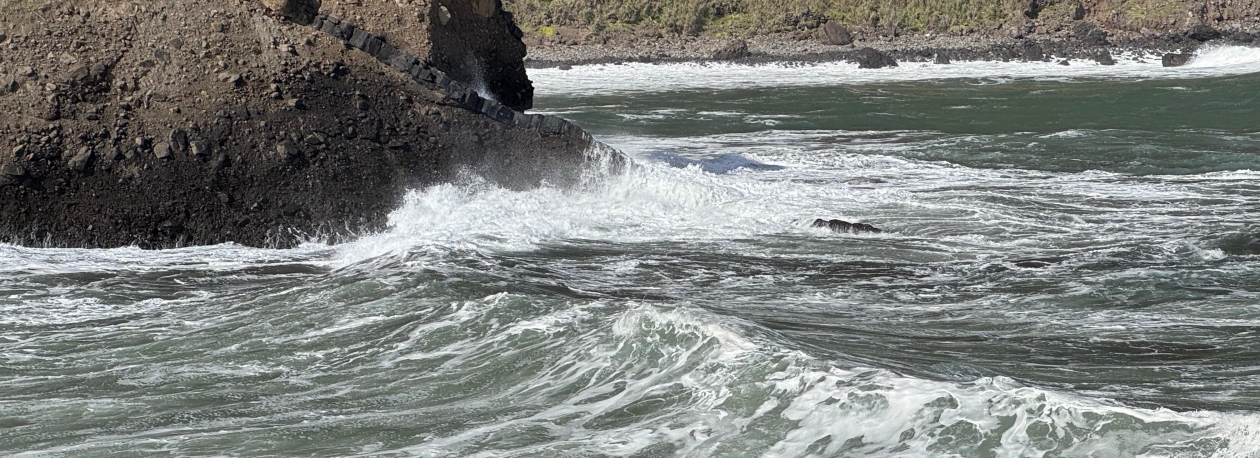 Imagem de Capitania do Funchal prolonga aviso de agitação marítima para a Madeira