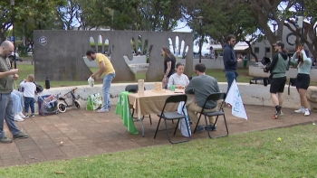 Imagem de Incentivos à preservação da cultura tradicional madeirense (vídeo)