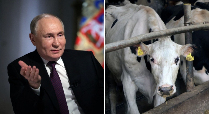 Imagem de Putin questiona os seus cientistas se conseguem levar uma vaca a Marte