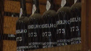 Imagem de Os americanos estão a pagar menos pelo Vinho Madeira (vídeo)