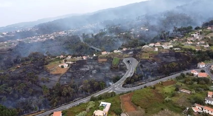 Imagem de Incendiário da Calheta condenado a uma pena de internamento por três anos