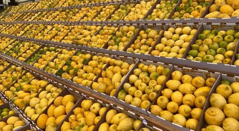 Imagem de Portugal já pode exportar limões para o Brasil