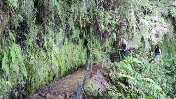 Imagem de Vereda do Caldeirão Verde aberta na totalidade (áudio)