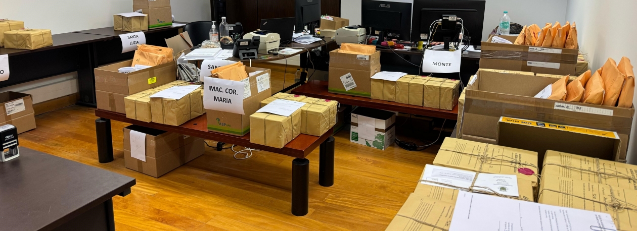Imagem de Preparação das eleições regionais (áudio)