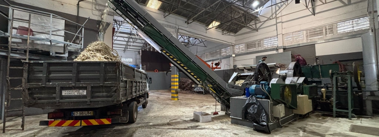 Imagem de Engenho de mel do Ribeiro Seco já começou a laborar (áudio)