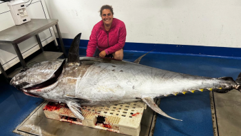 Imagem de Fabiana Martins é a única mulher pescadora profissional na Madeira (vídeo)