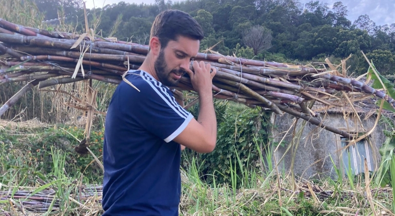 Imagem de Quantidade de cana-de-açúcar produzida na Região deverá ser semelhante ao ano anterior (áudio)