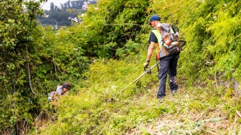Imagem de IFCN notificou 50 proprietários para procederem à limpeza dos terrenos (áudio)