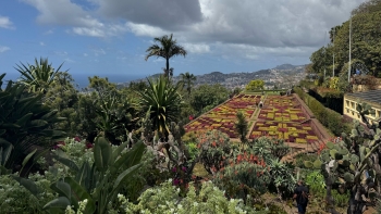Imagem de Jardim Botânico vai ter um mapa digital e interativo (vídeo)