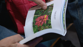 Imagem de “Flores do nosso jardim”, o último livro de Raimundo Quintal (vídeo)
