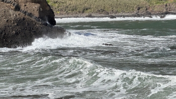 Imagem de Capitania do Funchal cancela avisos para o mar da Madeira
