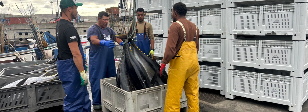 Imagem de Madeira e Açores à beira de atingir metade da quota (vídeo)