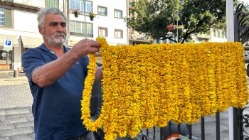 Imagem de Colares de Maio são tradição no Dia do Trabalhador (vídeo)