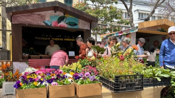 Imagem de Comerciantes com boas expectativas para a Festa da Flor (vídeo)