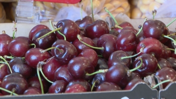 Imagem de Cerejas à venda nas frutarias do Funchal (vídeo)
