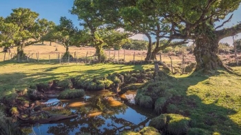 Imagem de Céu geralmente muito nublado