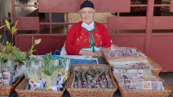 Imagem de Florista esclarecida pelas visitas dos candidatos (áudio)