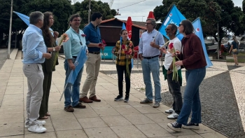Imagem de Iniciativa Liberal quer apoiar a parentalidade (áudio)