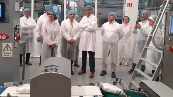 Imagem de Sweets and Sugar já fatura 10,2 milhões de euros (áudio)