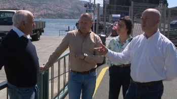 Imagem de PTP defende parceria ibérica para garantir a ligação ferry (vídeo)