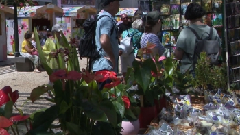 Imagem de Comerciantes da Placa Central fazem balanço positivo (vídeo)