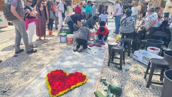 Imagem de Tapetes florais começaram a ser criados nas ruas da cidade do Funchal (vídeo)
