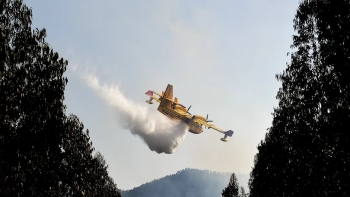 Imagem de PJ faz buscas relacionadas com concursos públicos para combate aos incêndios