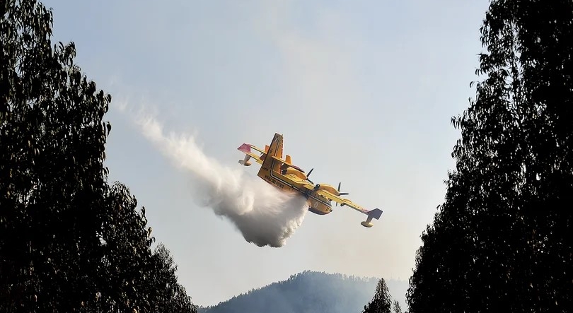 Imagem de PJ faz buscas relacionadas com concursos públicos para combate aos incêndios