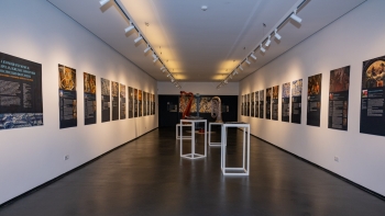 Imagem de Direção Regional da Cultura assinala Dia dos Museus ao longo da semana (áudio)