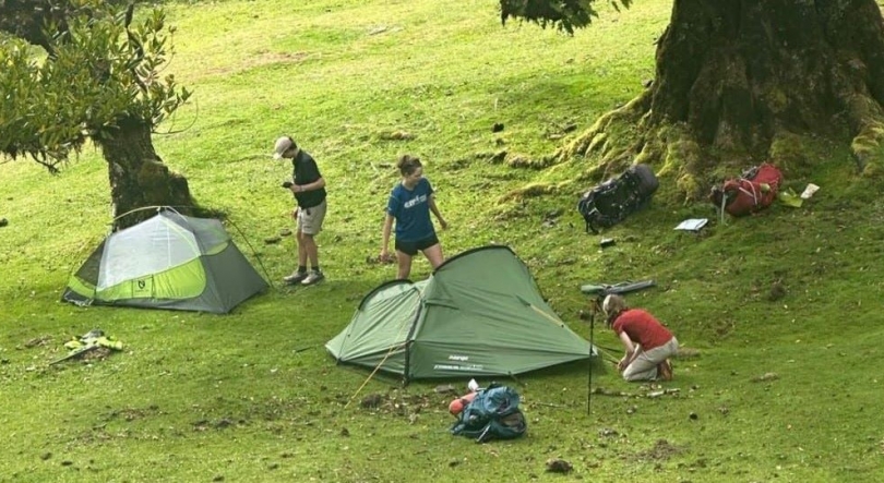 Imagem de Polícia Florestal interceta turistas a acampar ilegalmente no Fanal