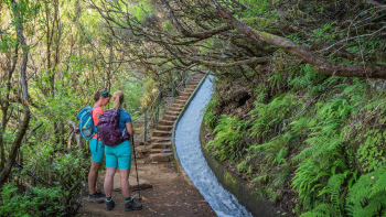Imagem de Levada das 25 Fontes já reabriu na totalidade