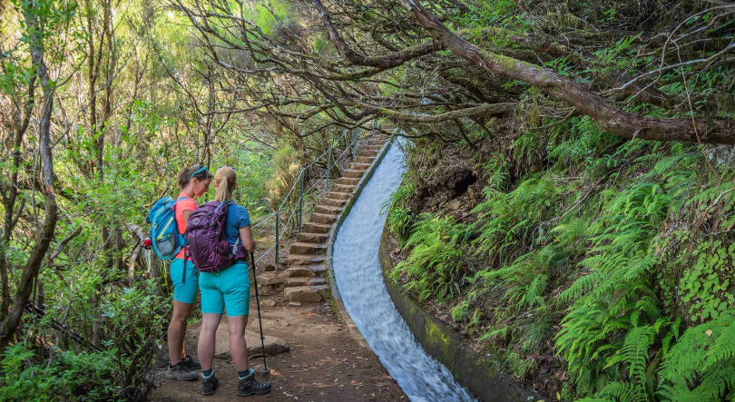 Imagem de Levada das 25 Fontes já reabriu na totalidade