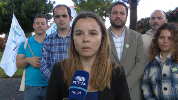 Imagem de PAN pede mais atenção dos governos à causa animal (vídeo)