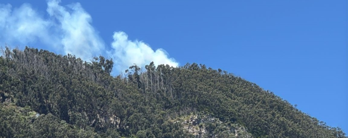 Imagem de Região registou 261 incêndios rurais entre 1 de janeiro e 31 de outubro (áudio)