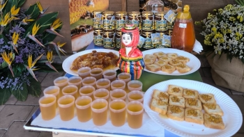 Imagem de Produção de mel de abelha abaixo dos anos anteriores (áudio)