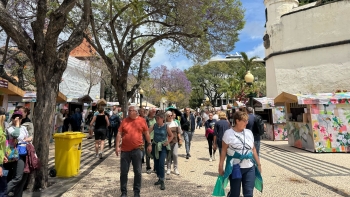 Imagem de Plano de Ordenamento Turístico da Madeira deve ser revisto (vídeo)