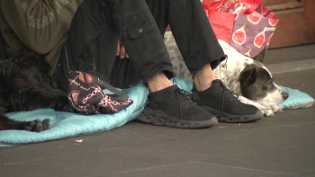 Imagem de Câmara do Funchal quer tirar 16 pessoas da rua (vídeo)