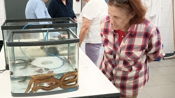 Imagem de Dia Europeu do Mar assinalado na Estação de Biologia Marinha do Funchal (áudio)