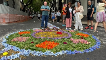 Imagem de Funchal prepara-se para receber a procissão do dia do Corpo de Deus (vídeo)