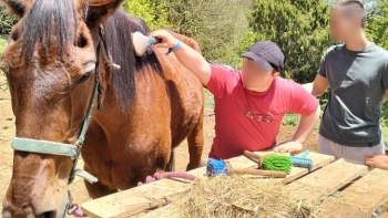 Imagem de Equitação terapêutica desenvolvida pela Quinta da Caldeira (áudio)