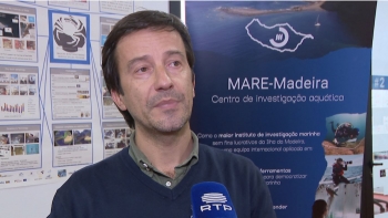 Imagem de Madeira e Moçambique querem cooperar (vídeo)