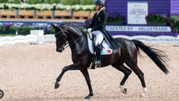 Imagem de Português vence prova de dressage em Wiesbaden