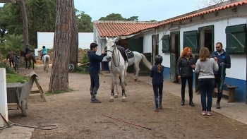 Imagem de Americanos fogem de Trump e escolhem Portugal (vídeo)