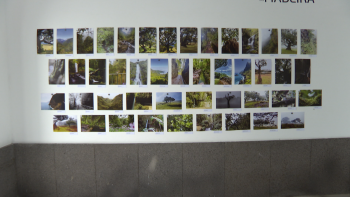 Imagem de ‘Paisagens da Madeira’ reúne 50 fotografias digitais (vídeo)