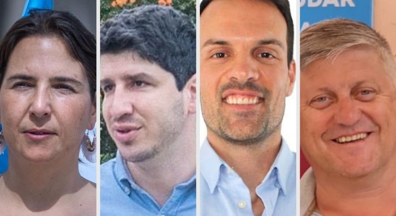 Imagem de Iniciativa Liberal vai concorrer em quatro concelhos nas autárquicas