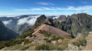 Imagem de Turista morre ao cair de uma altura de 50 metros no Miradouro do Juncal