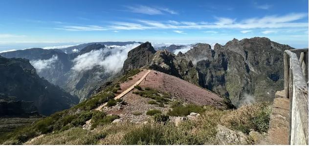 Imagem de Turista morre ao cair de uma altura de 50 metros no Miradouro do Juncal