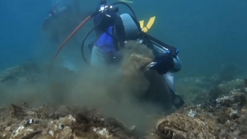 Imagem de Poluição, sobrepesca e o aquecimento global (vídeo)