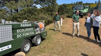 Imagem de Câmara do Funchal já retirou ‘invasoras’ em 220 hectares (áudio)