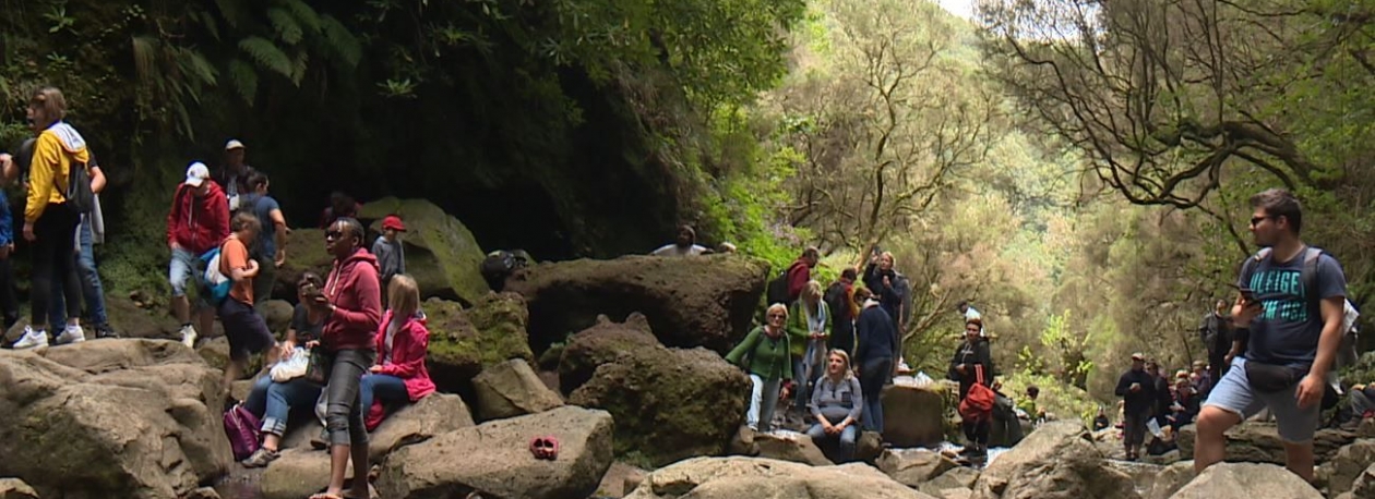 Imagem de Madeira distinguida como o melhor destino de turismo